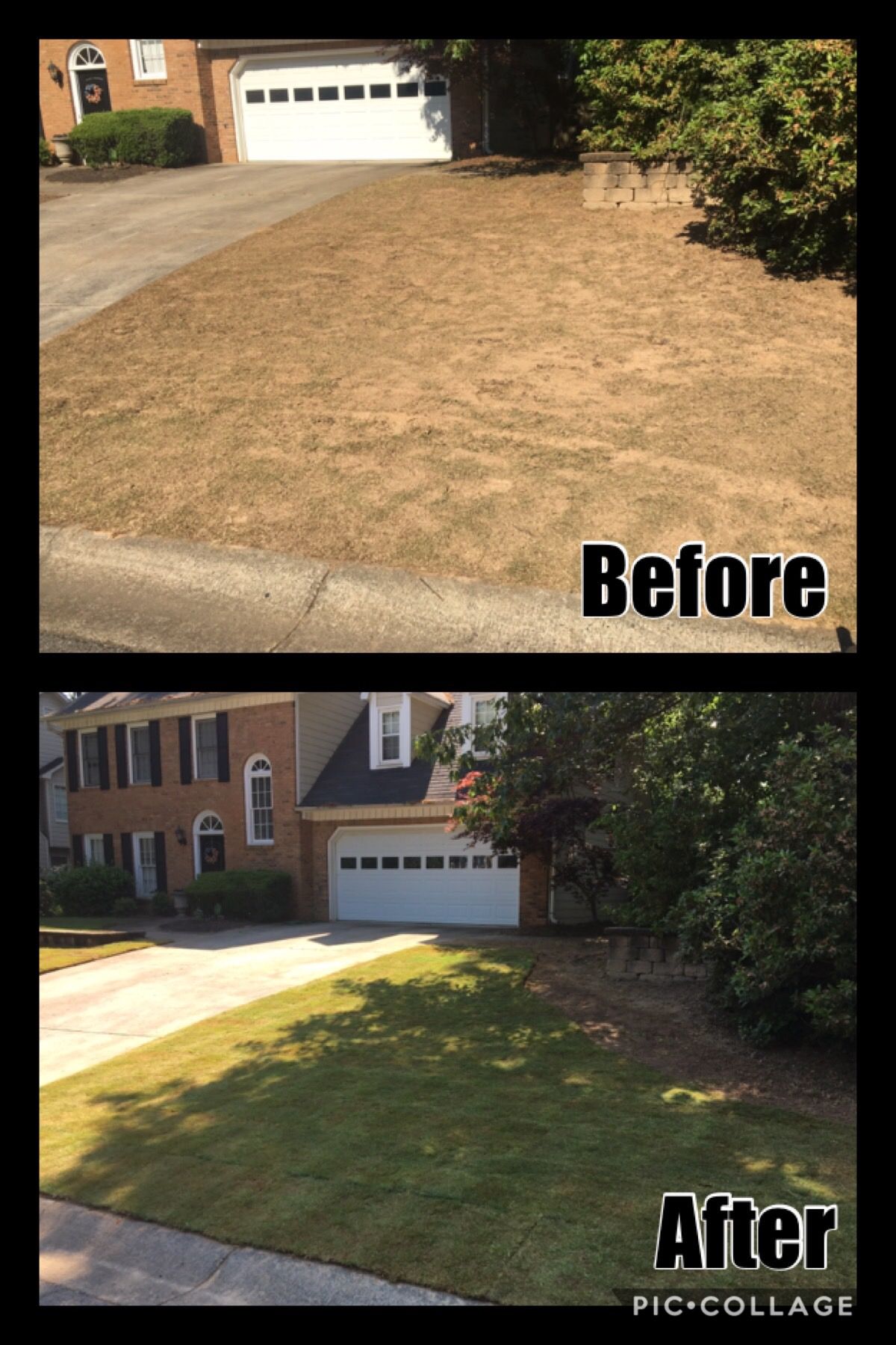 A before and after picture of a lawn in front of a house.
