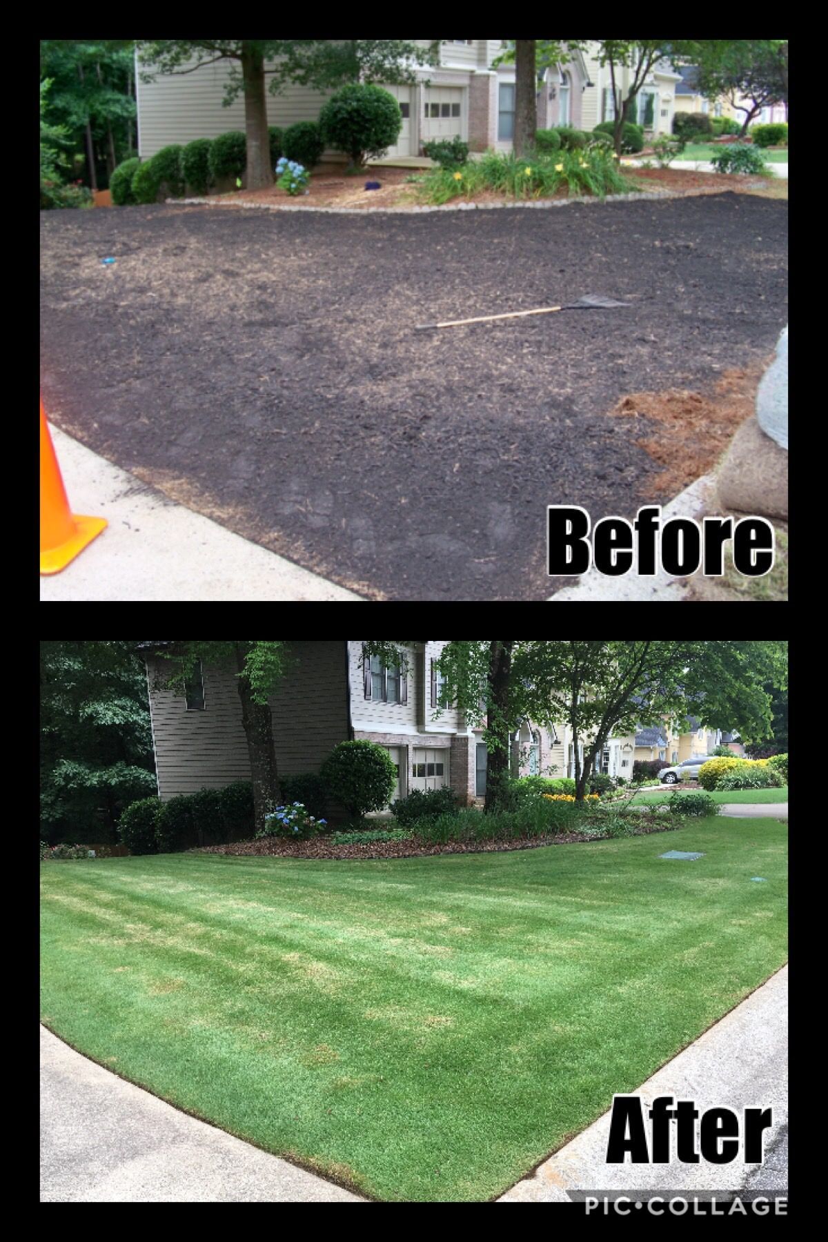 A before and after picture of a lawn and driveway.