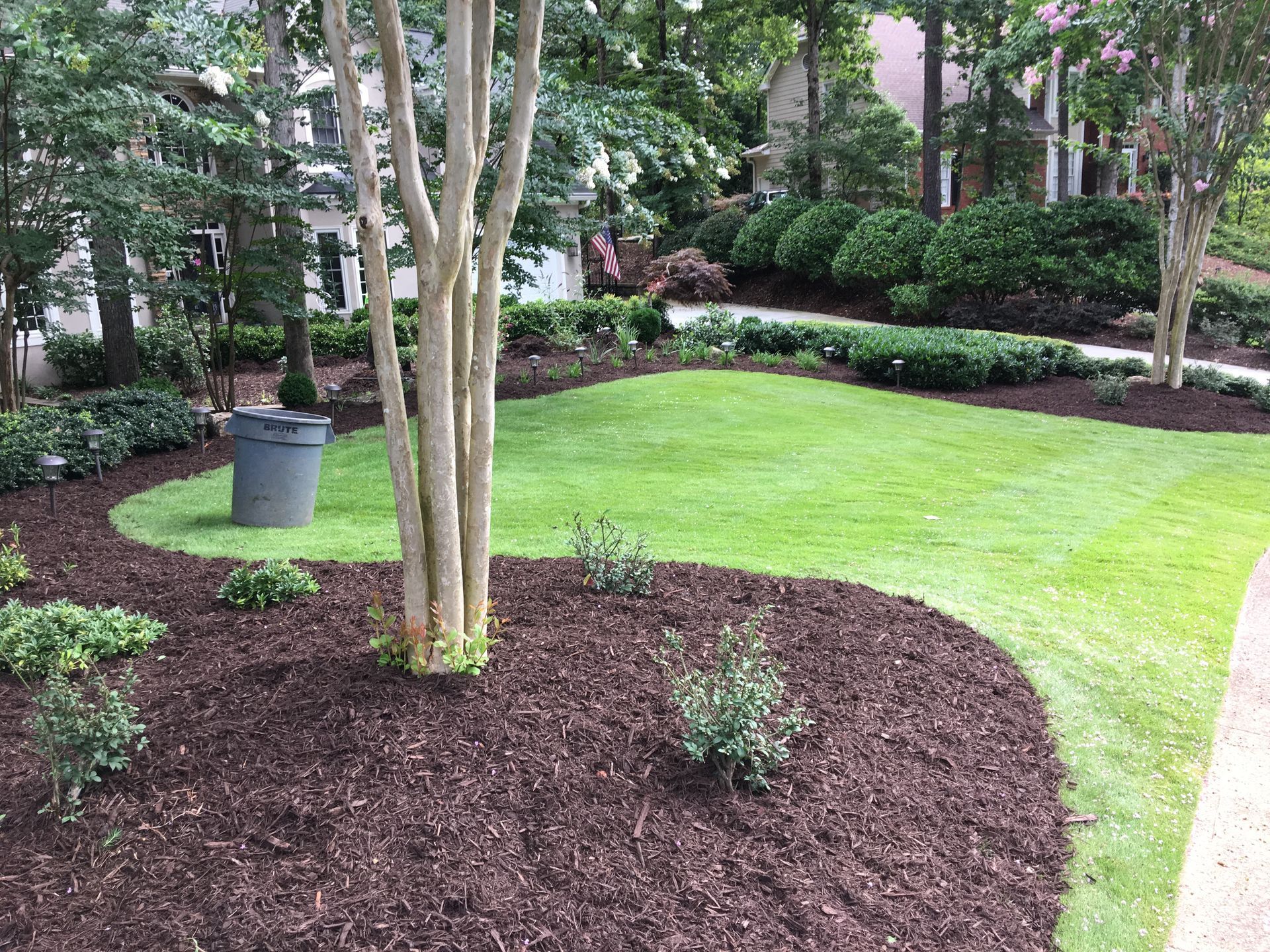 A lush green lawn surrounded by mulch and trees.
