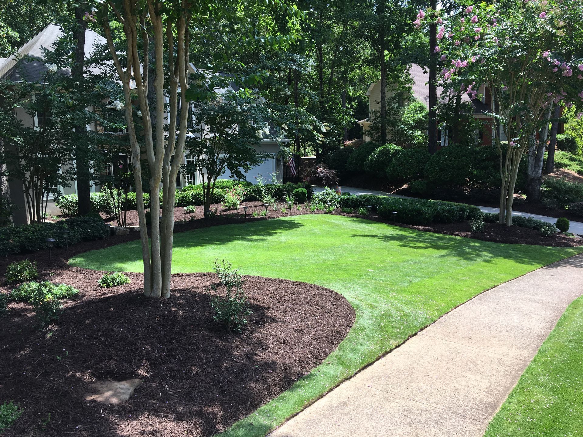 A path going through a lush green park with trees and bushes.