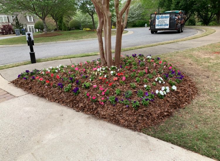 A flower bed with flowers and mulch on the sidewalk next to a tree.