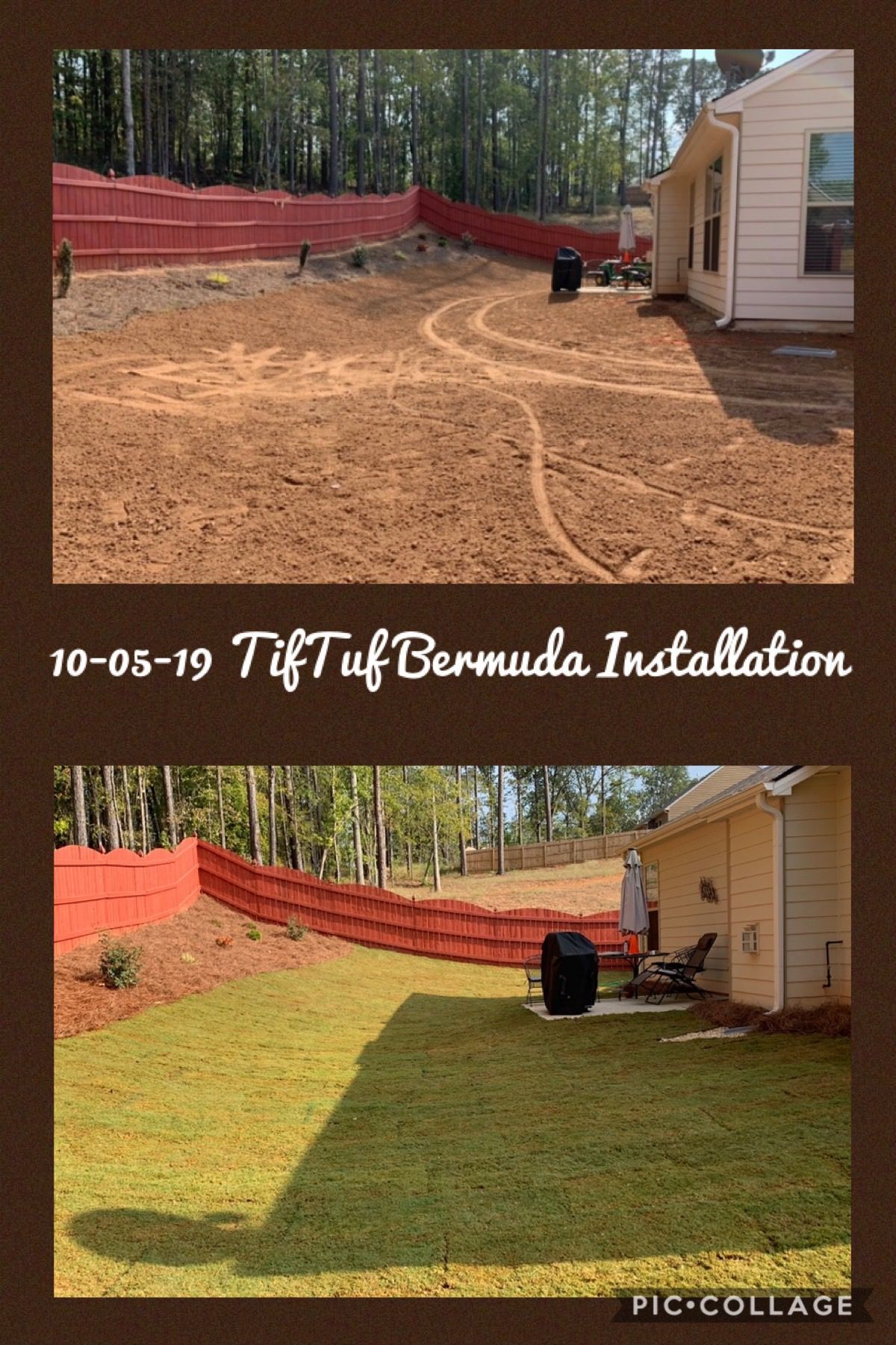 A before and after picture of a lawn installation in bermuda