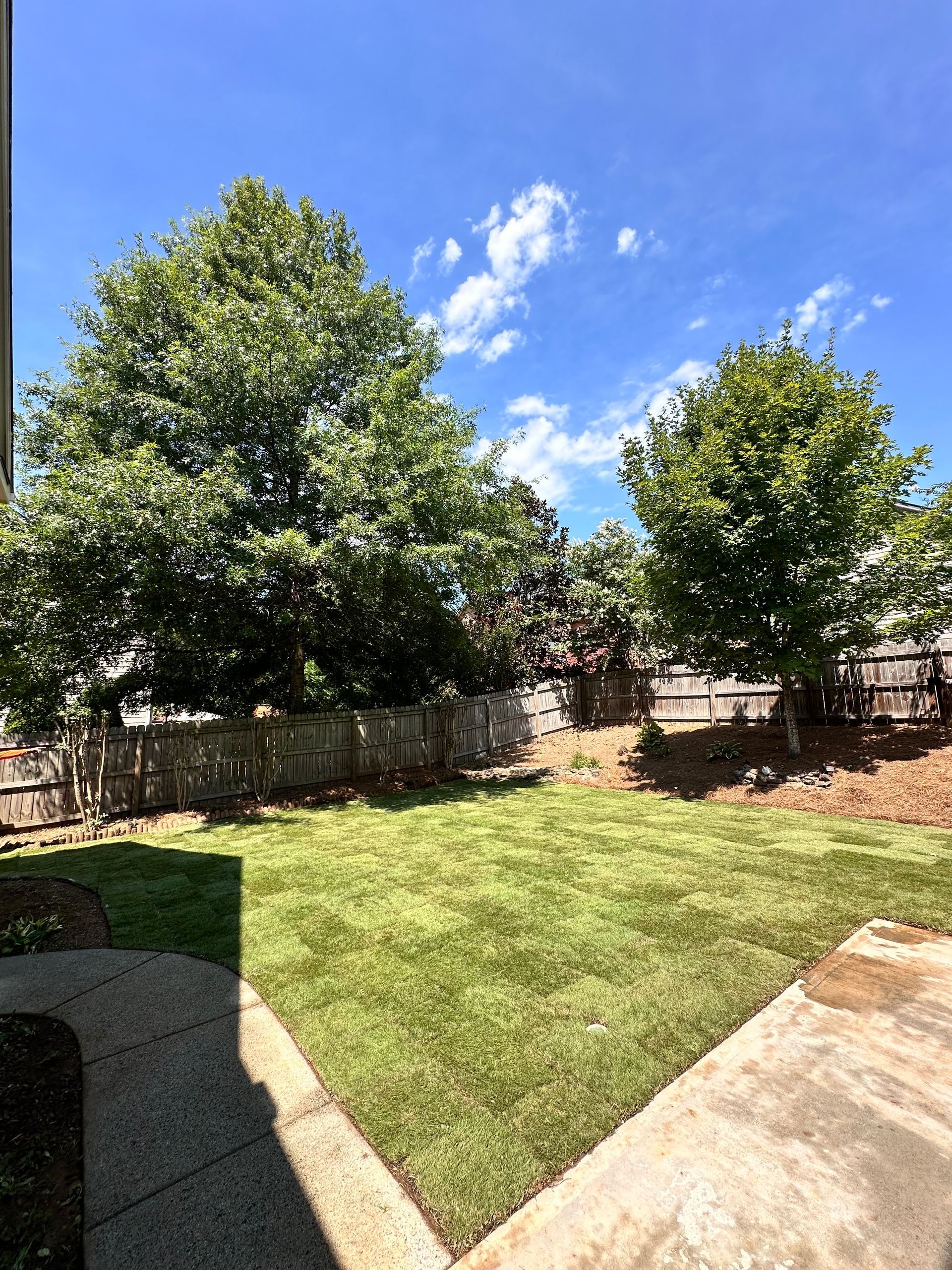 A backyard with a lush green lawn and trees on a sunny day.