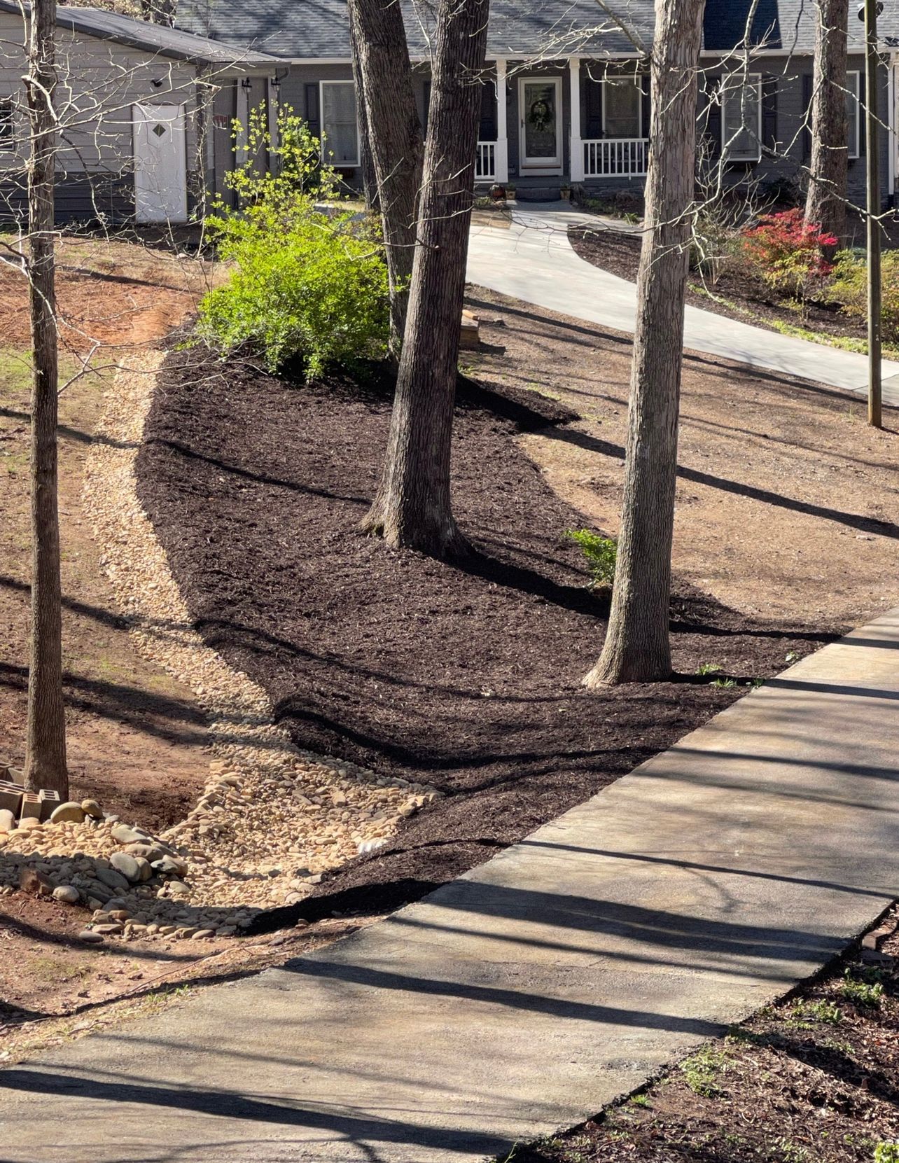 A sidewalk leading to a house surrounded by trees and mulch.