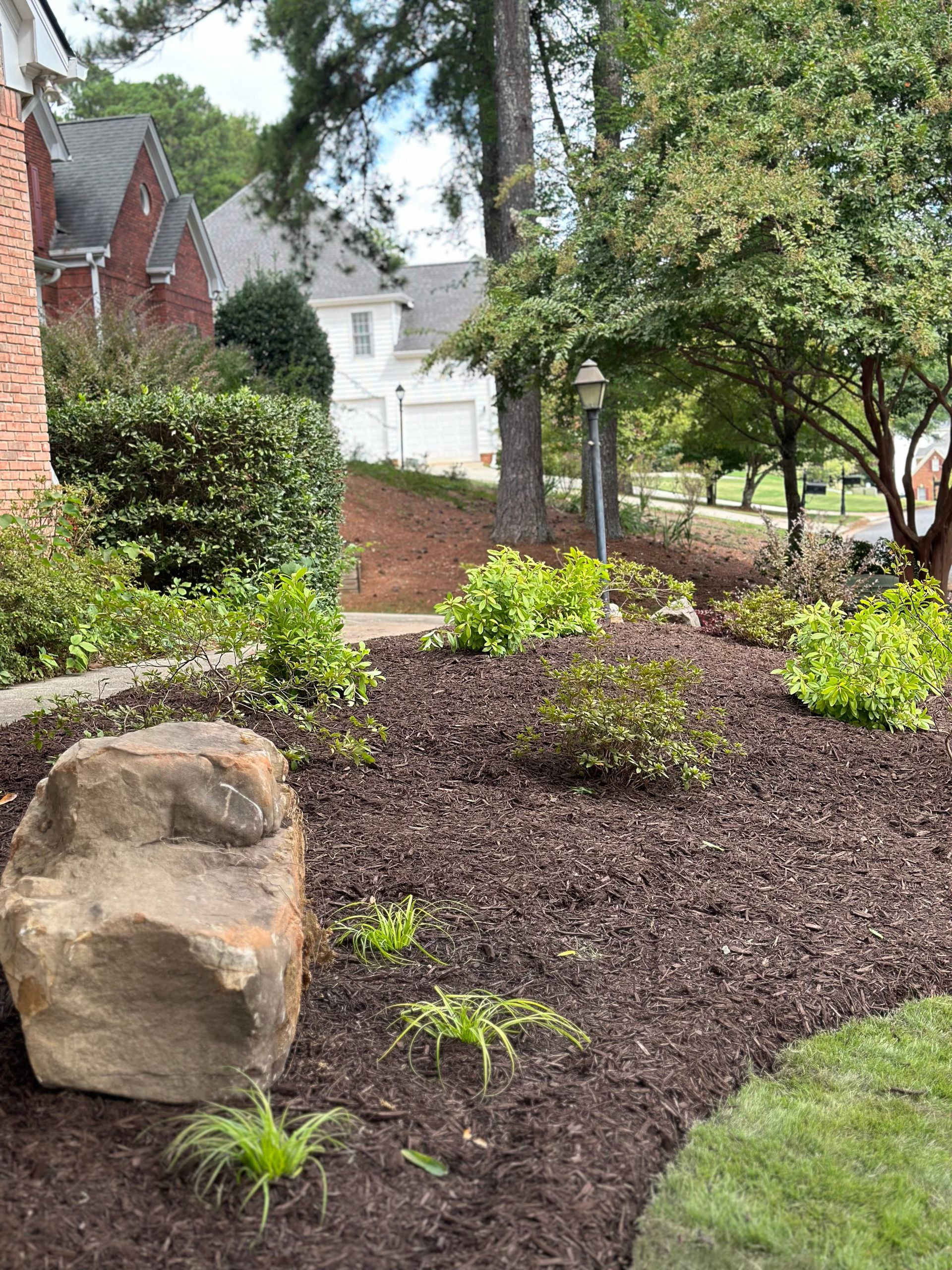 There is a large rock in the middle of the garden.