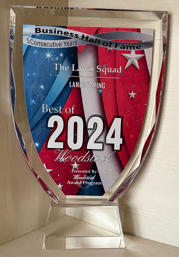 Trophy with red, white, and blue design, inscribed - Best of 2024 and Business Hall of Fame.
