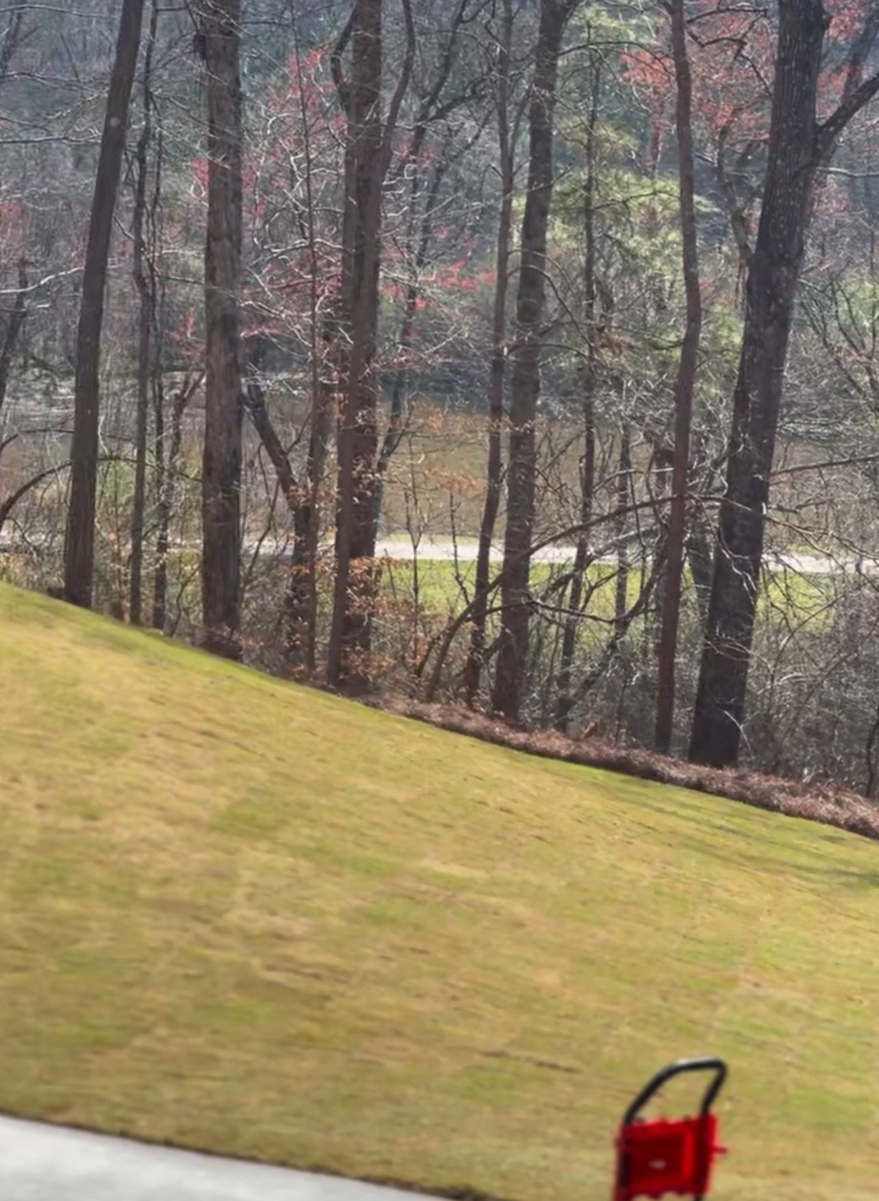 A lawn mower is sitting on a lush green hillside with trees in the background
