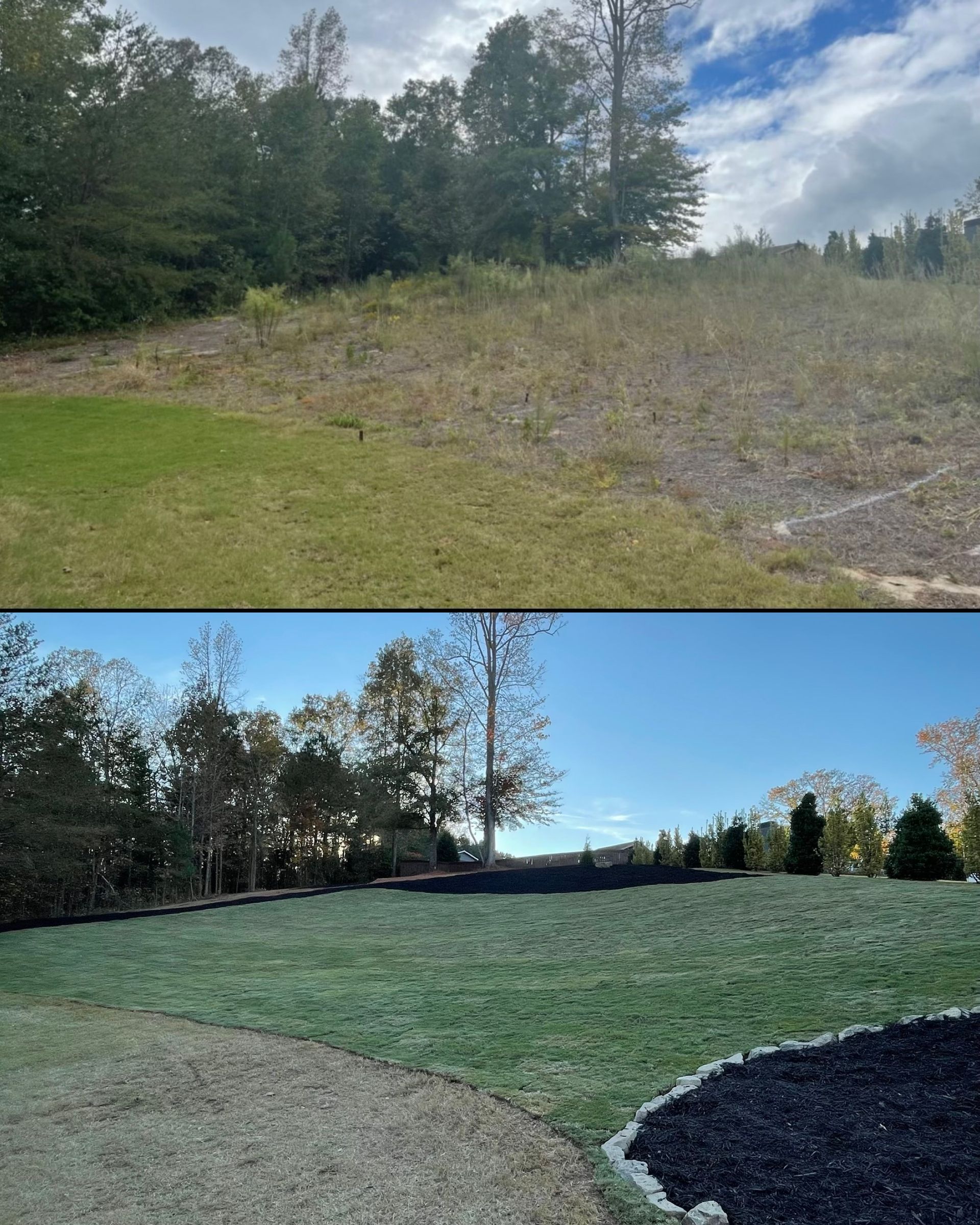 A before and after picture of a lush green field