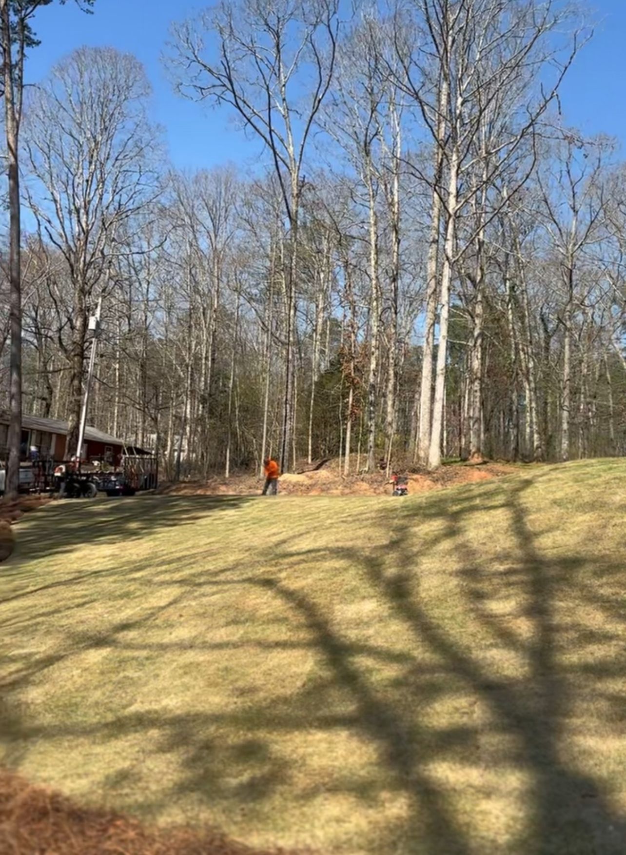 A person is standing in the middle of a lush green field surrounded by trees.