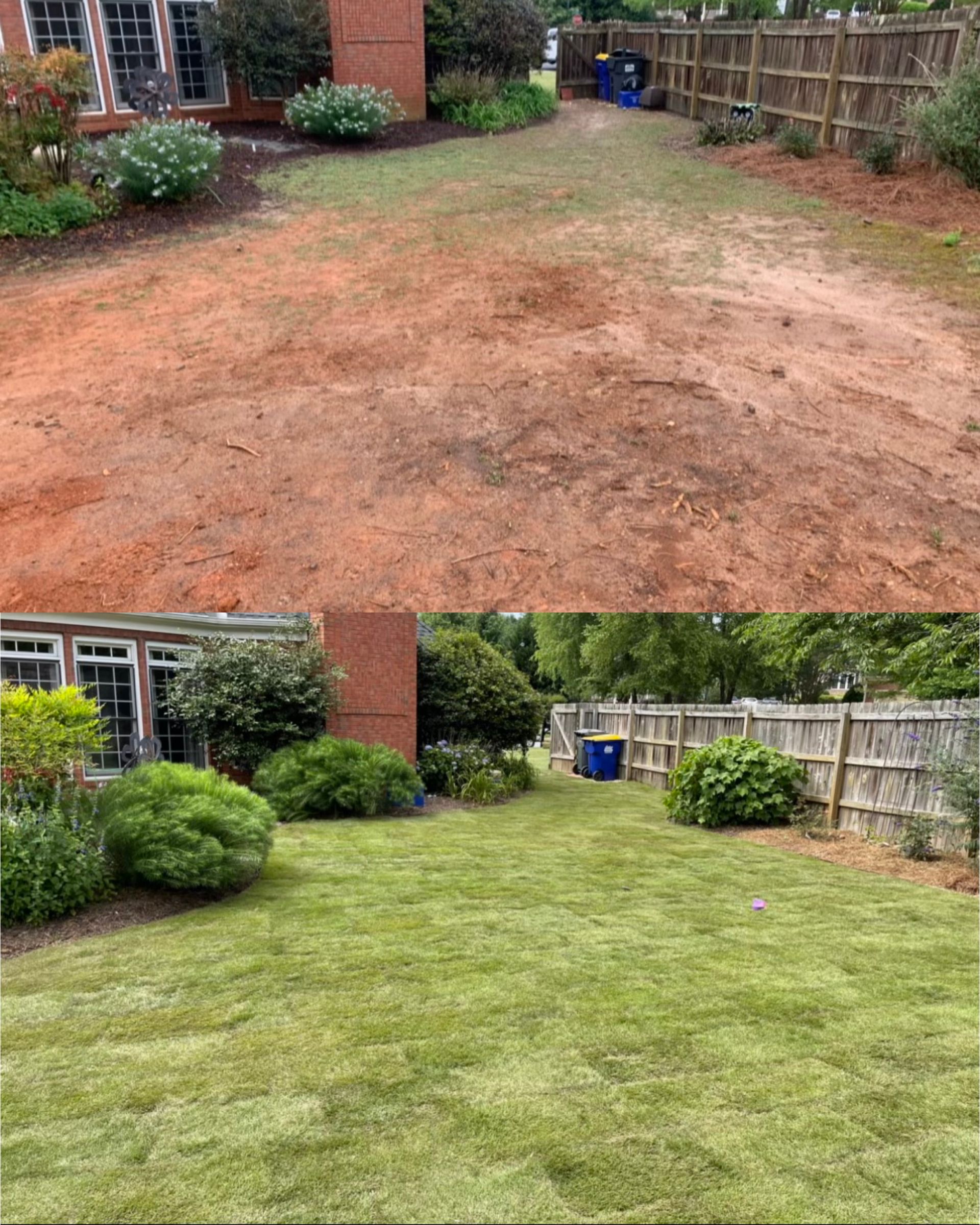 There is a before and after picture of a lawn.