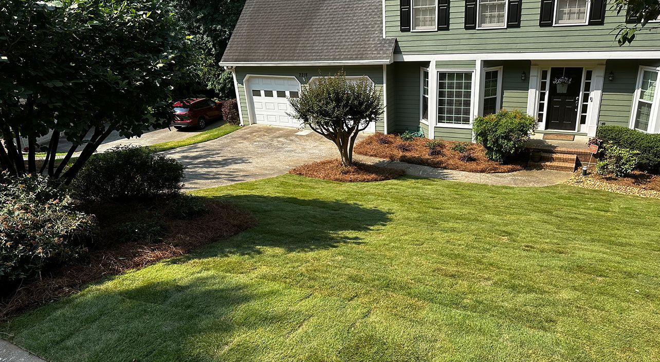 A lush green lawn in front of a house with a car parked in the driveway.