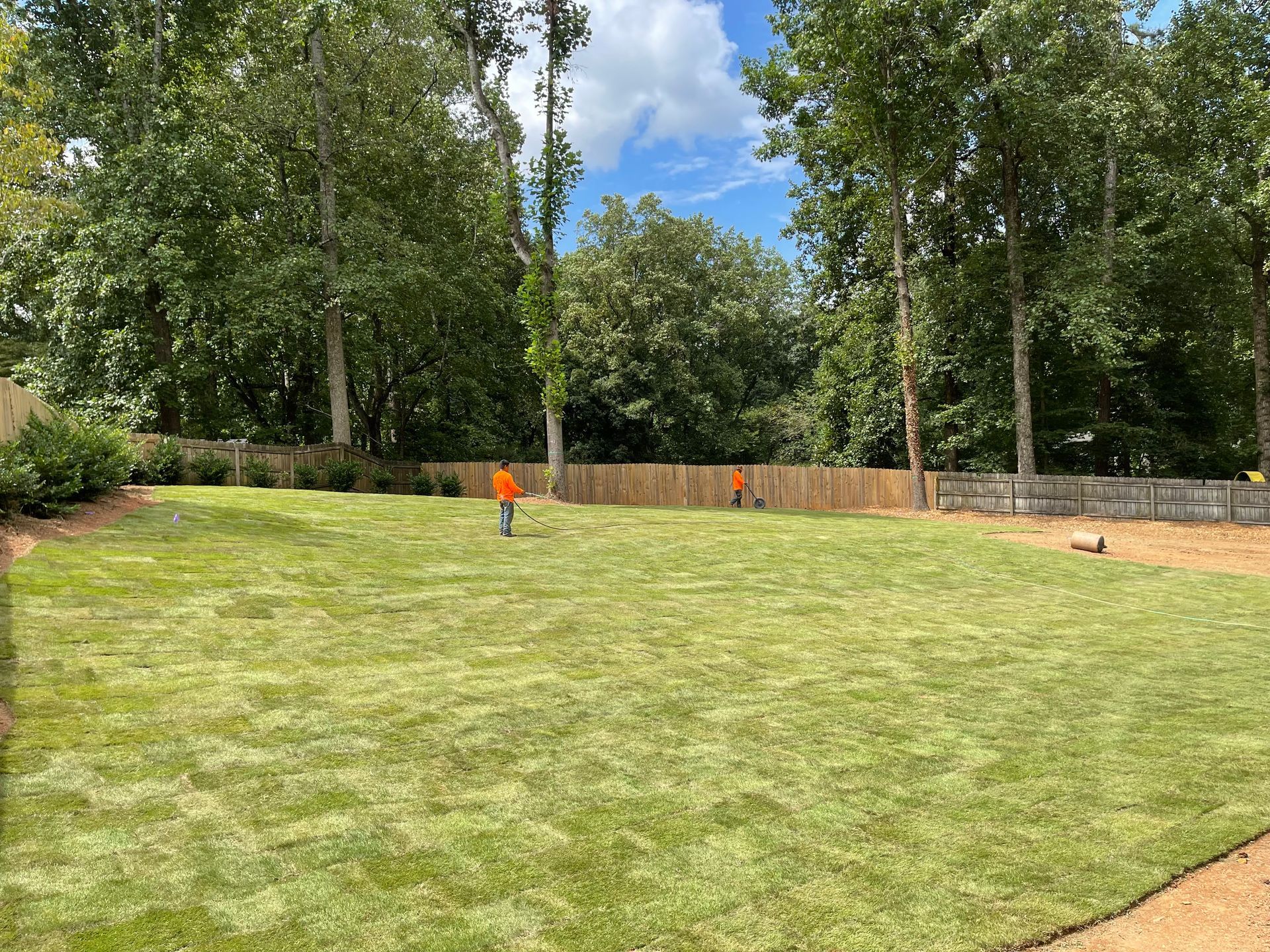 A man is standing in the middle of a lush green lawn.
