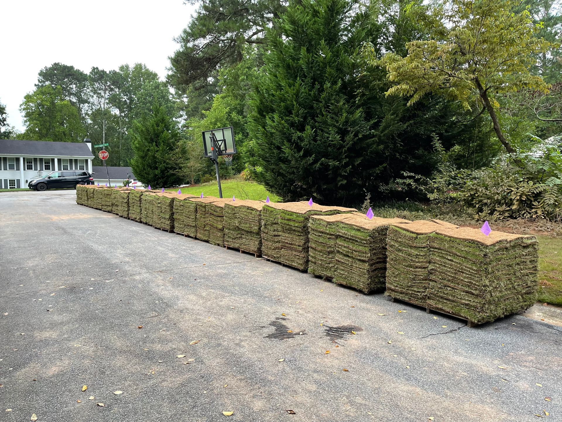 A row of bales of grass are sitting on the side of a road in front of a house.