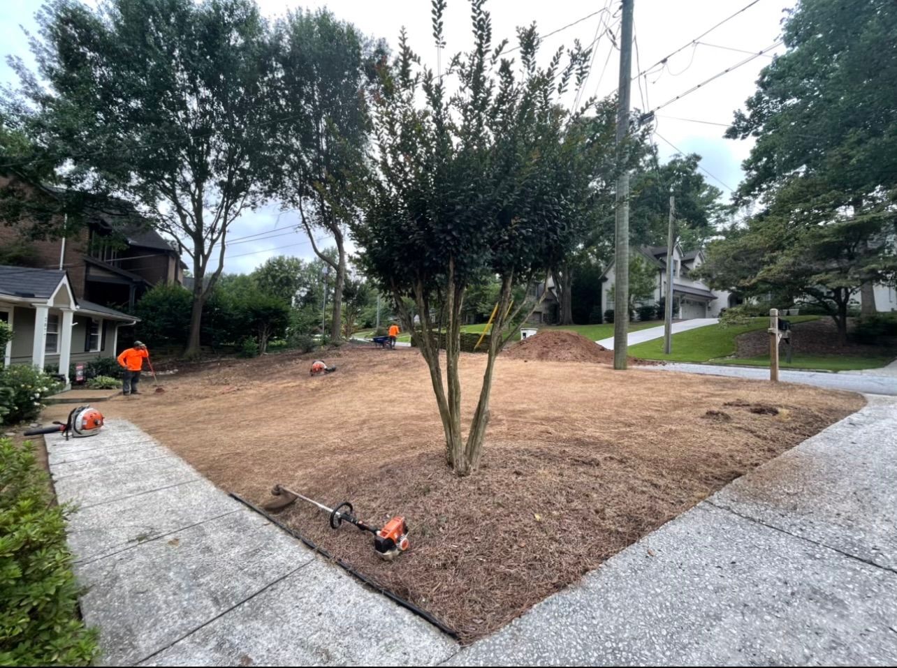 A lawn mower is sitting on the sidewalk next to a tree.