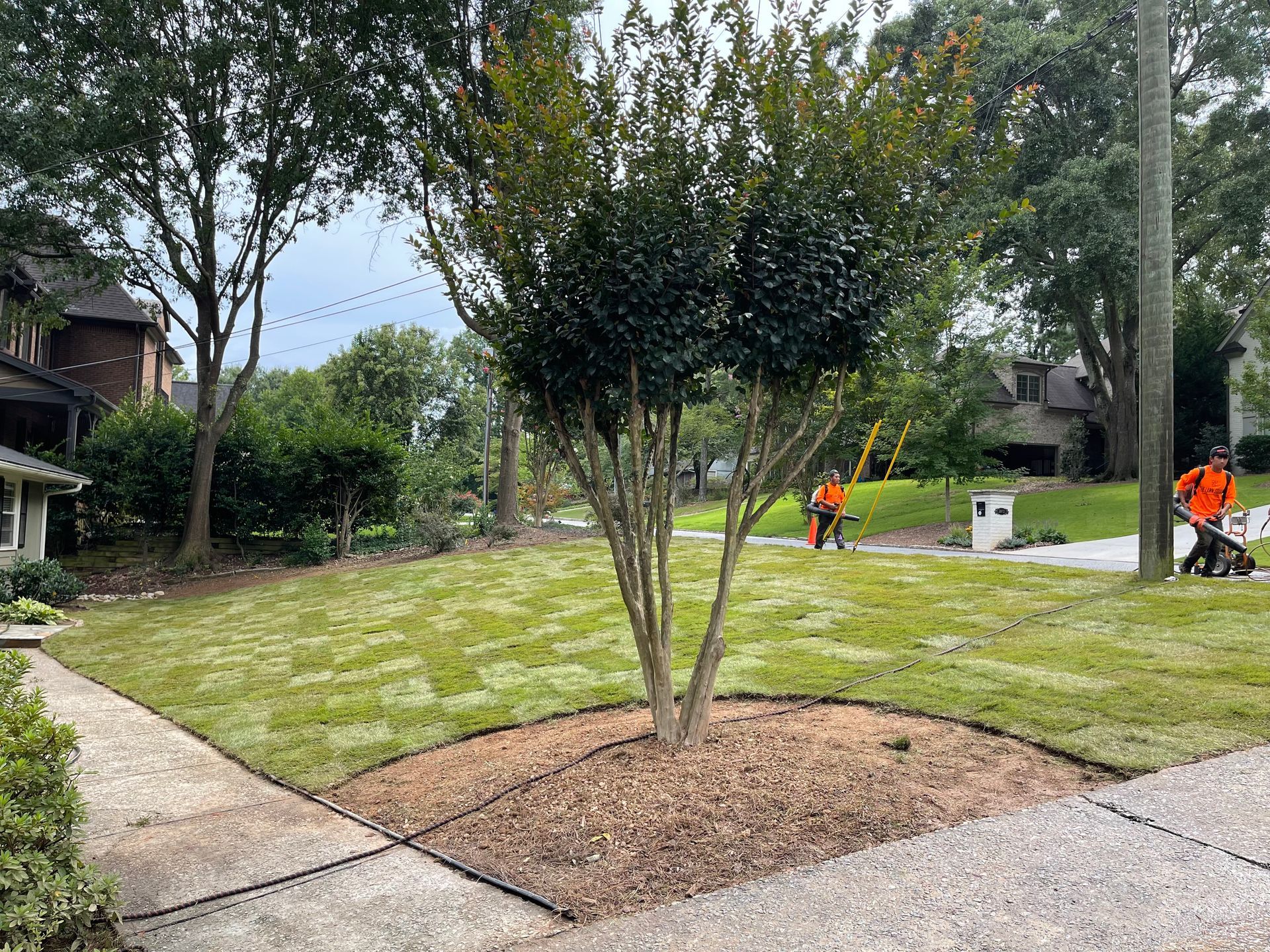 A couple of men are mowing a lush green lawn in front of a house.