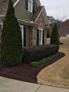 A house with a lot of bushes and trees in front of it.