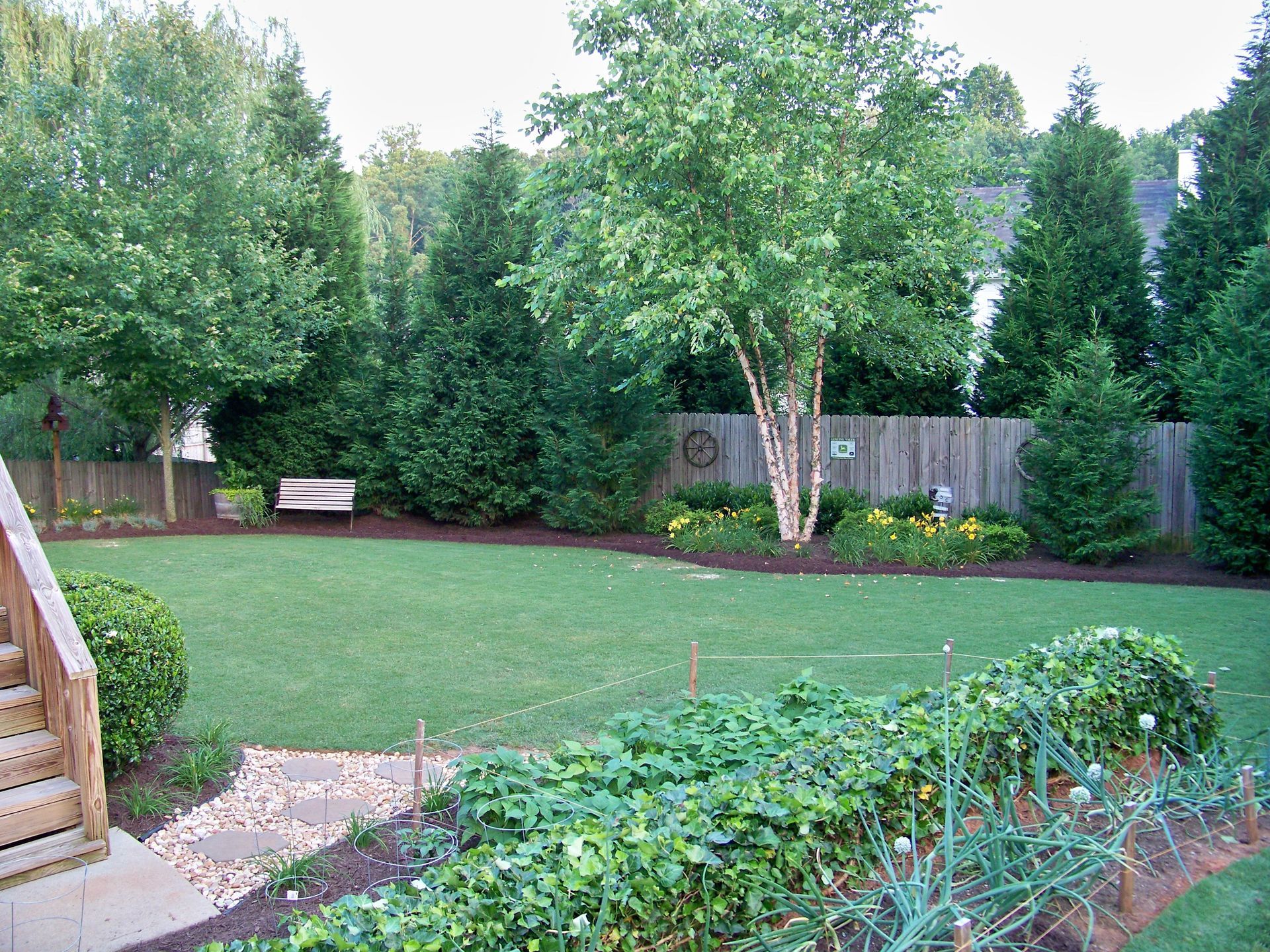 A lush green backyard with a fence and trees