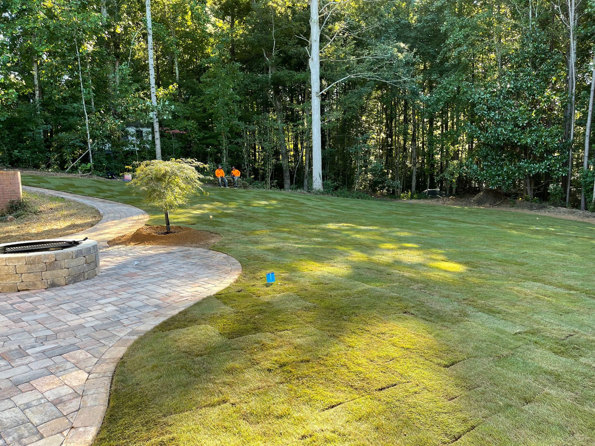 A lush green lawn with a brick walkway and trees in the background.