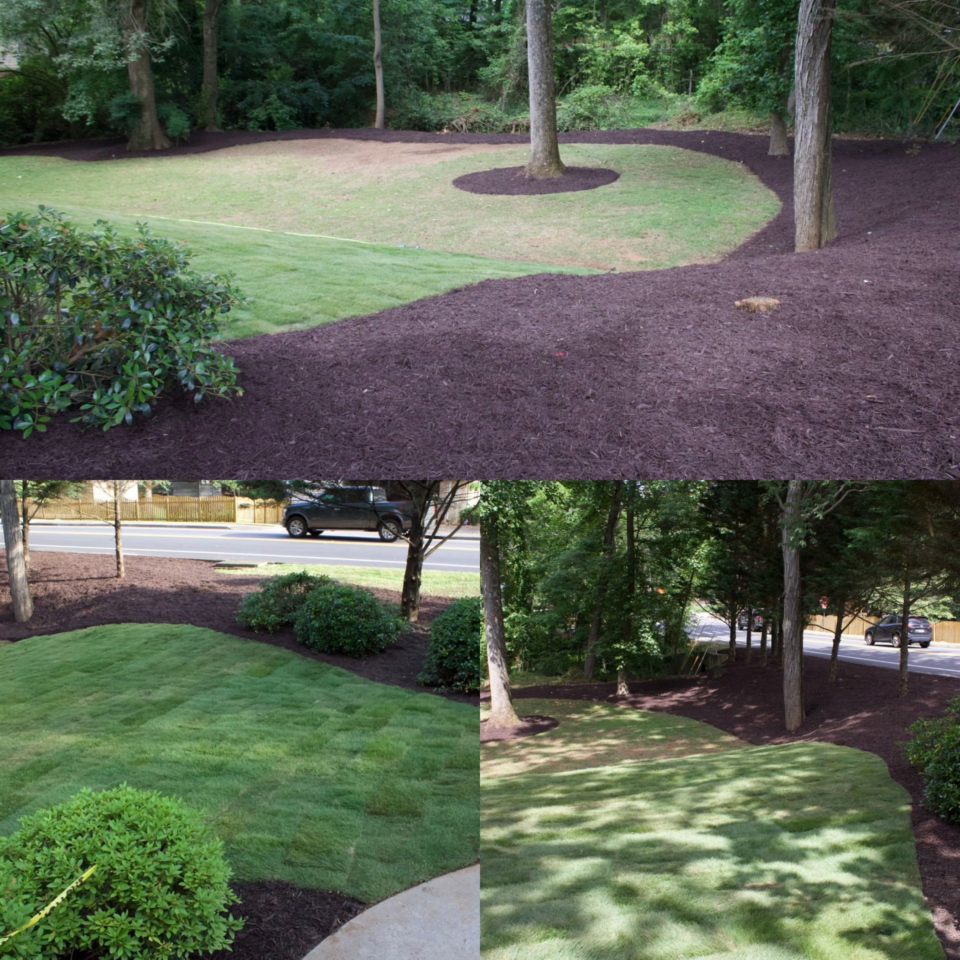 A collage of four pictures of a lush green yard