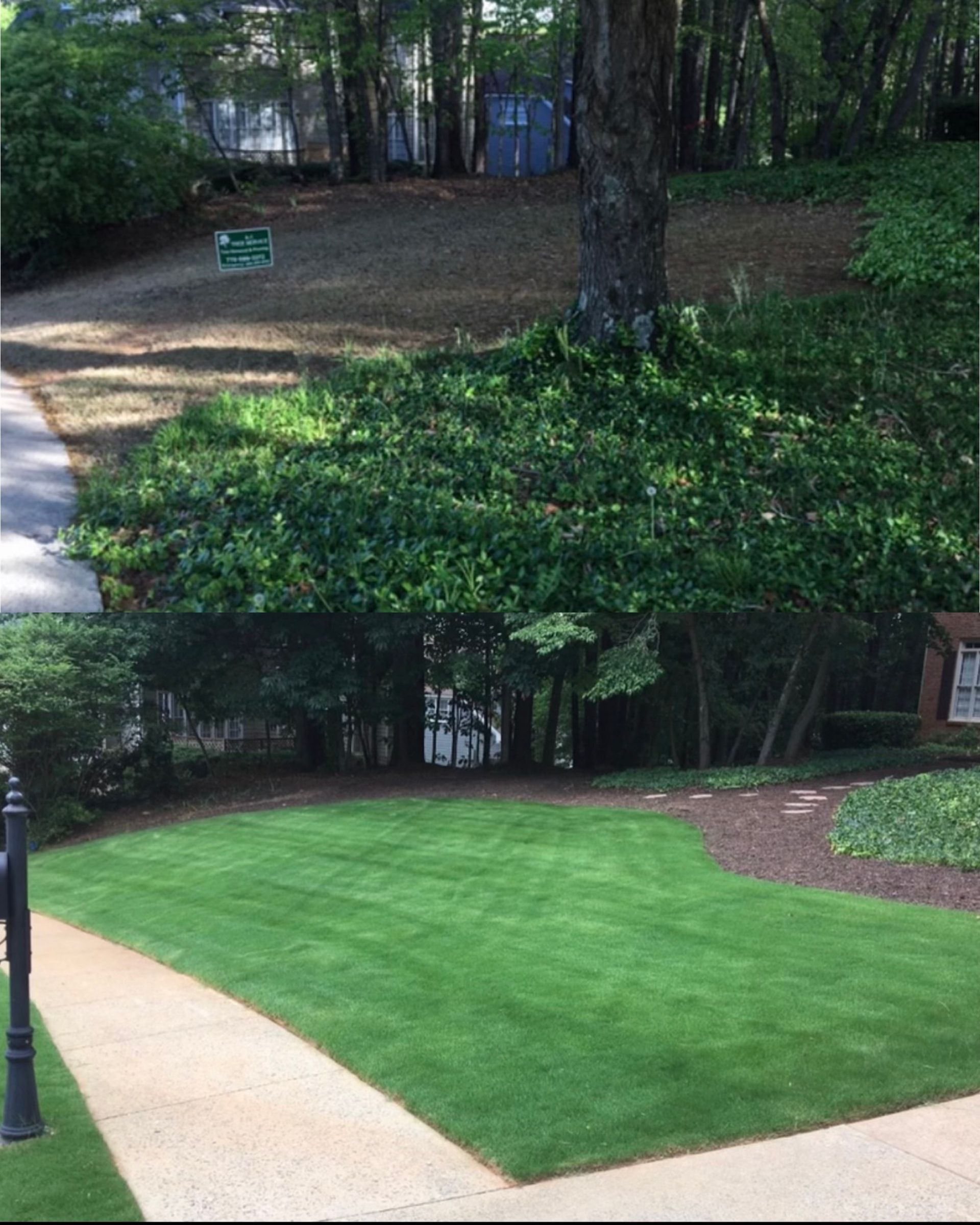 A lush green lawn with a sidewalk and trees in the background