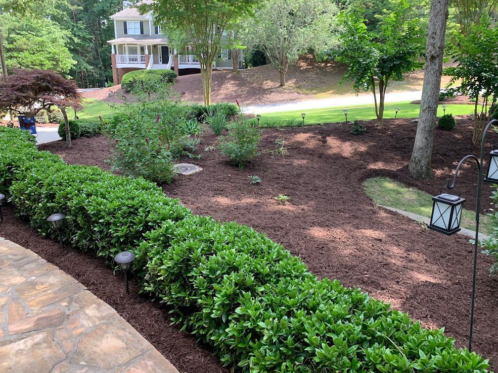 A lush green garden with a stone walkway and lanterns in front of a house.