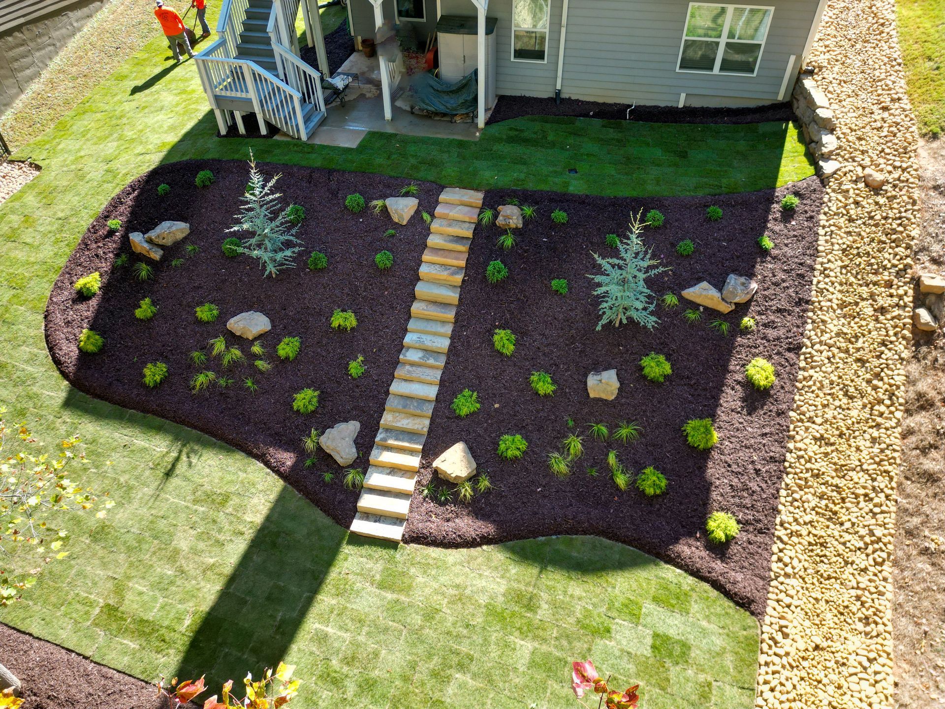 Backyard landscaping with a mulch bed, stone path, small trees, and green lawn.