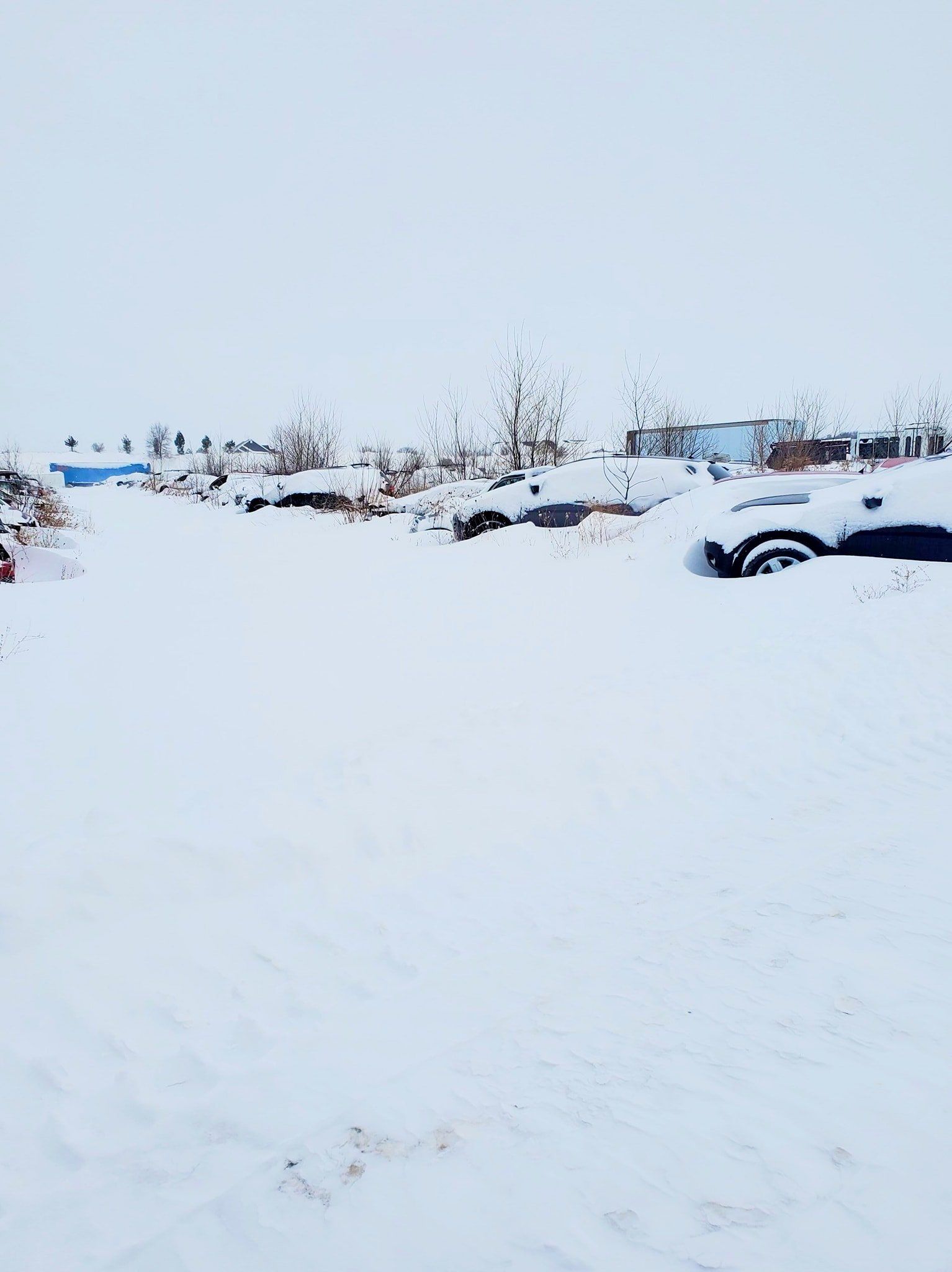 Used cars under snow