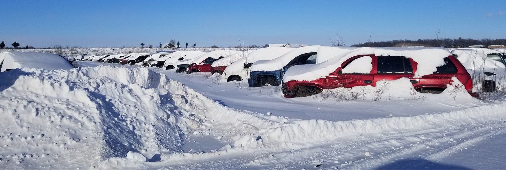 Used cars under snow