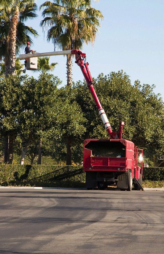 Tree services