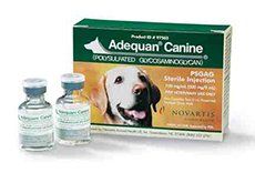Adequan Canine