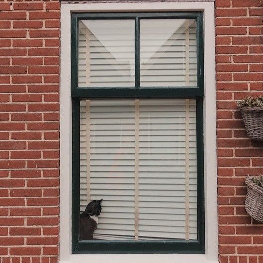 Black cat sitting on a windowsill behind white blinds in a brick building window