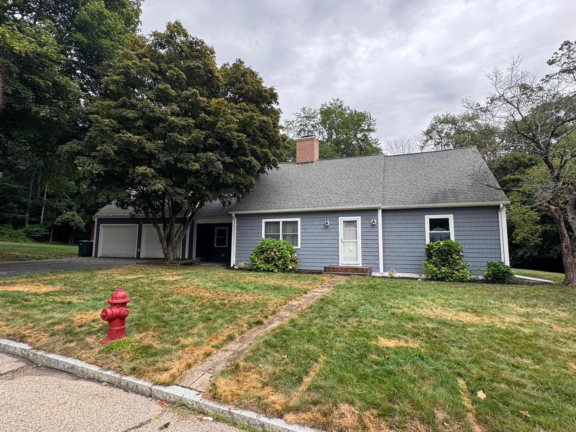 Small gray house with white trim, front yard, red fire hydrant, and trees on an overcast day