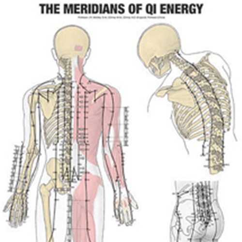 The Meridians of QI Energy Skeleton drawing