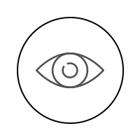 A gray outline of an eye centered inside a thin black circle.