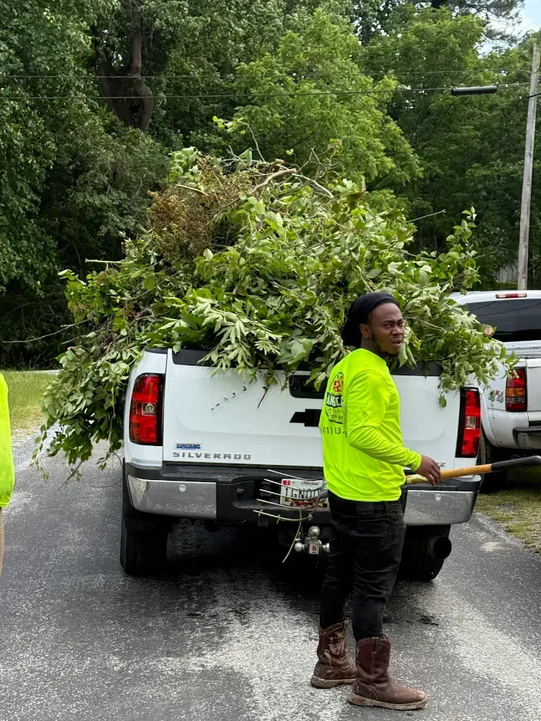 A person in a neon yellow shirt stands by a white pickup truck filled with green tree branches on a paved road.
