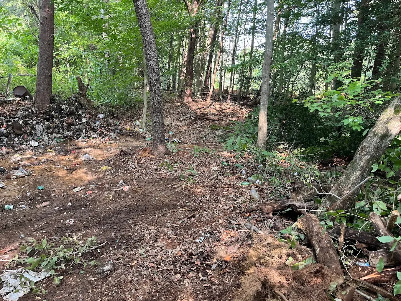 A dirt path winds through a wooded area, with a pile of scattered trash and debris on the left side of the forest floor.