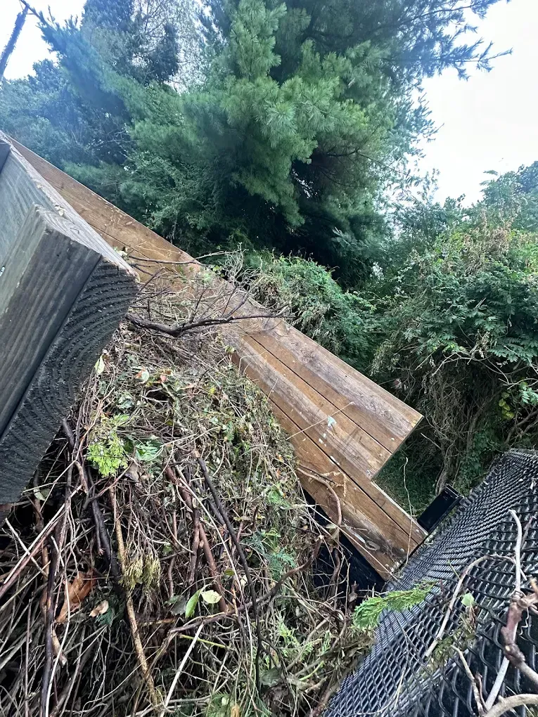 A slanted view of weathered wooden planks nestled in dense, overgrown greenery and vines next to a black wire mesh fence.