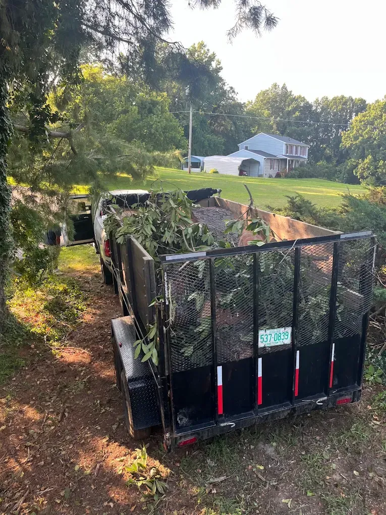 A utility trailer filled with cut tree branches parked on a grassy lot next to a wooded area and a distant house.