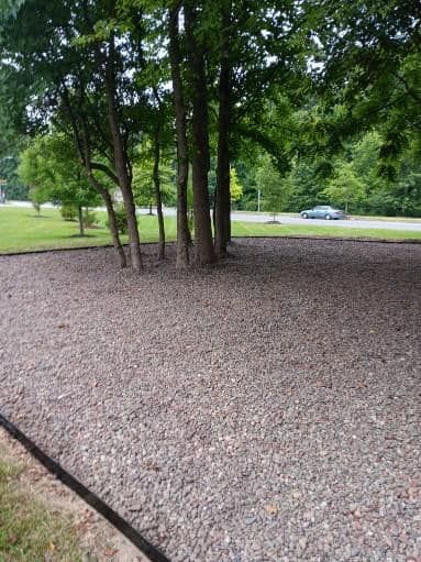 A cluster of trees stands in a garden bed covered in gray gravel, bordered by a black landscape edge near a road.