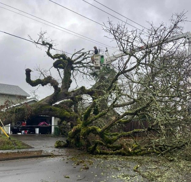 A large tree fallen across a road and carport; utility workers in a bucket truck are trimming it.
