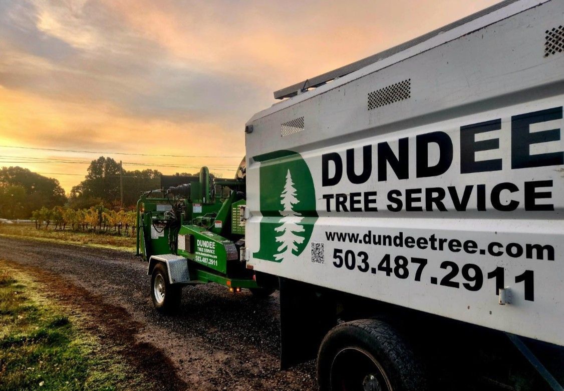 Dundee Tree Service truck and wood chipper on a rural road at sunset.