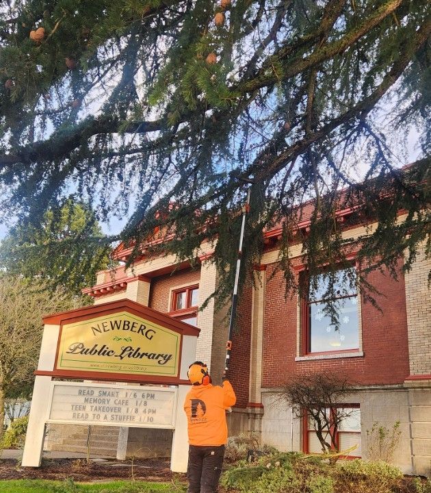 Man trimming tree branches with pole saw near Newberg Public Library.