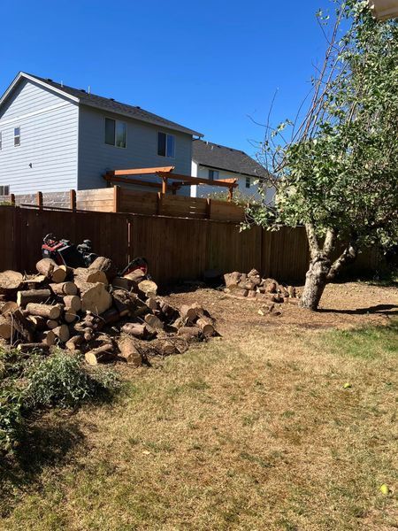Backyard with wood pile, fence, tree, and two-story houses under a blue sky.