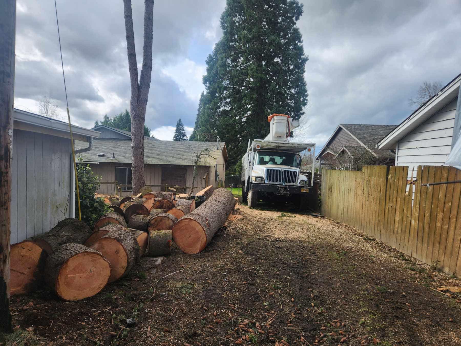 Truck loading tree logs in a driveway next to a fence and house, under cloudy skies.