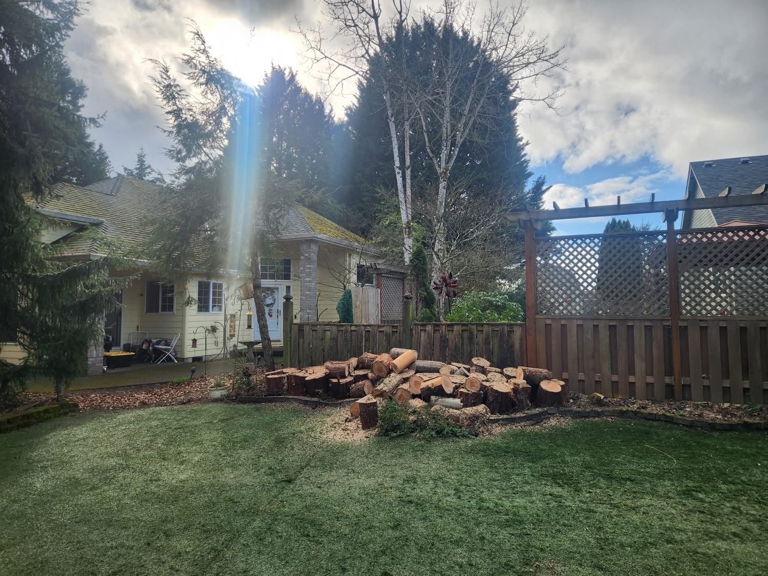 A pile of freshly cut logs sits in a grassy backyard near a light-colored house and a wooden trellis fence.