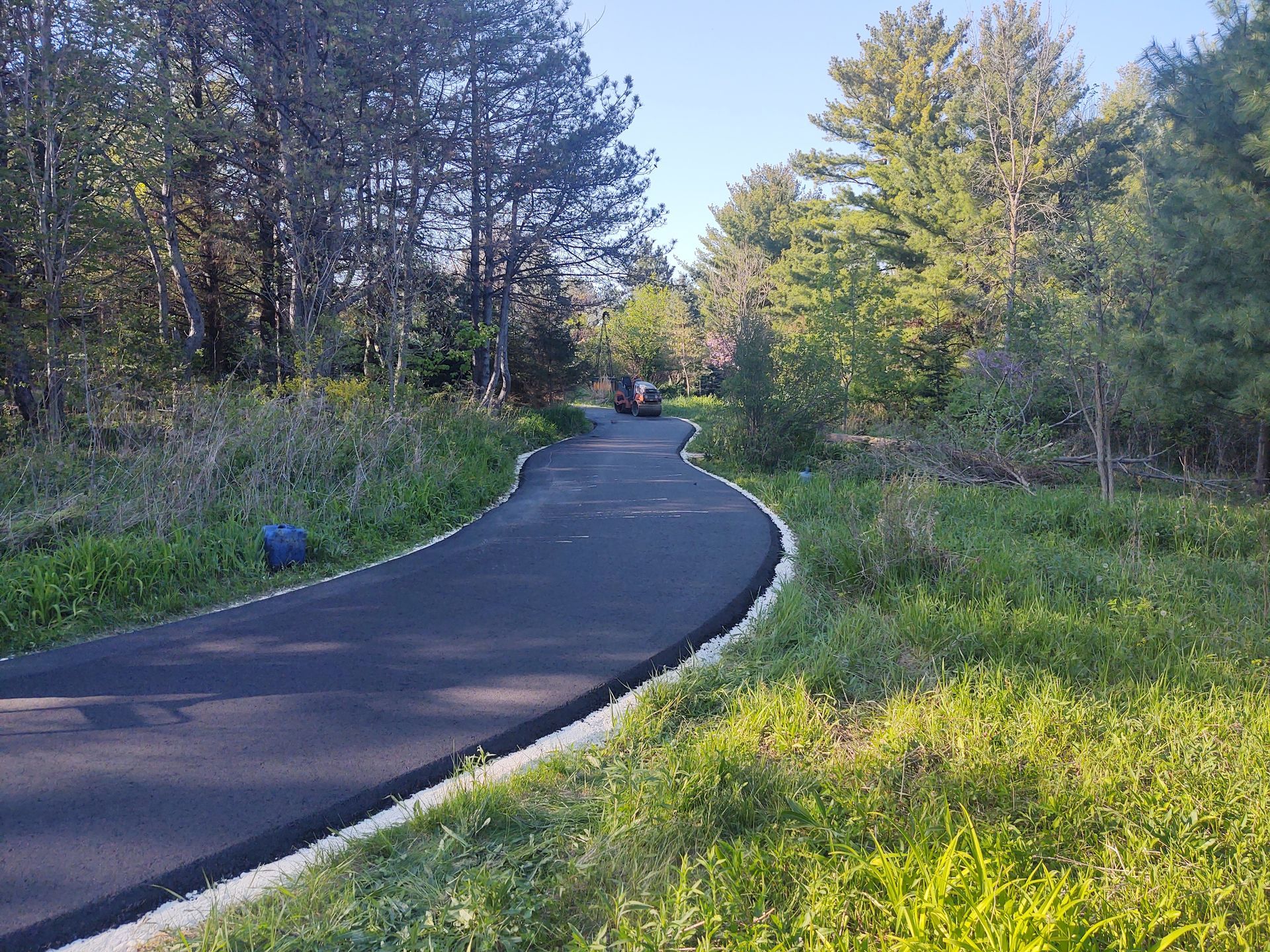 A curvy road goes through a lush green forest.