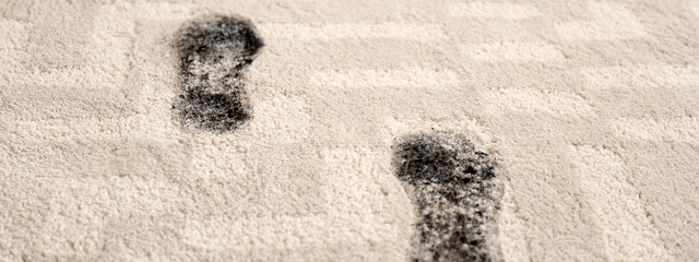 Protect Your Carpets From the Effects of Winter Weather