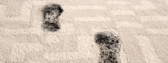 How to Protect Your Carpet in Fall & Winter Months