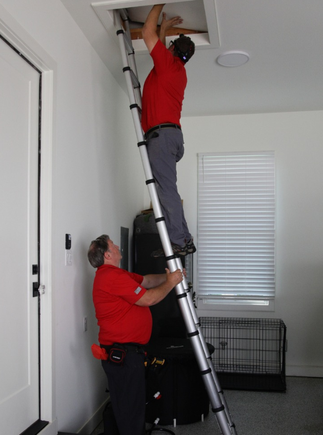 Two men in red shirts use an extended ladder to access an attic in a home.