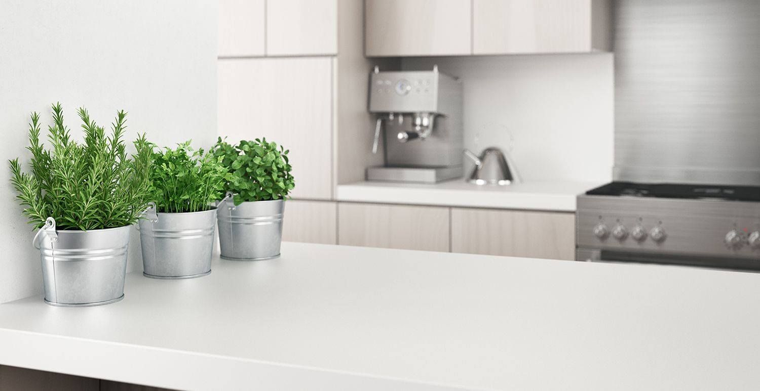 Three potted green plants on a white kitchen countertop with a blurred background.